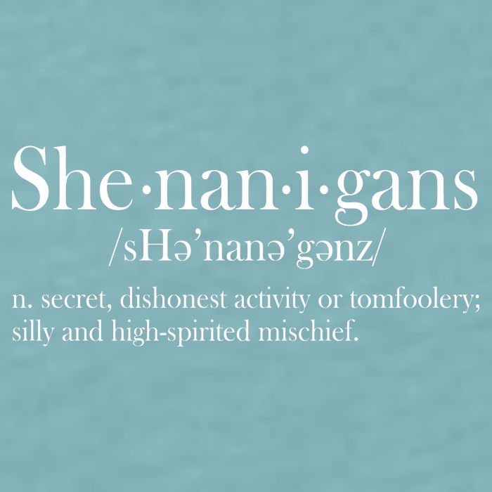 Funny Shenanigans Definition Sueded Cloud Jersey T-Shirt