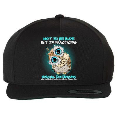 Funny Social Distancing Owl Meme Wool Snapback Cap