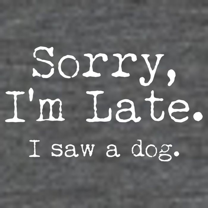 Funny Sorry I'm Late I Saw A Dog Kids T-Shirt