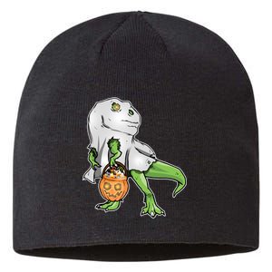 Funny T-Rex Ghost Pumpkin Candy  Sustainable Beanie