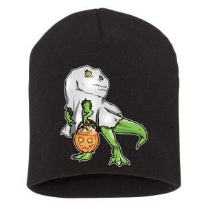 Funny T-Rex Ghost Pumpkin Candy  Short Acrylic Beanie