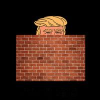 Funny Trump If You Built The Wall They Won't Come  Mug