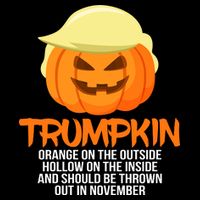 Funny Trumpkin Thrown Out In November Apron