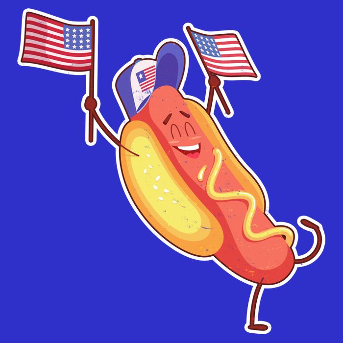 Funny USA American Flag Hotdog Toddler T-Shirt