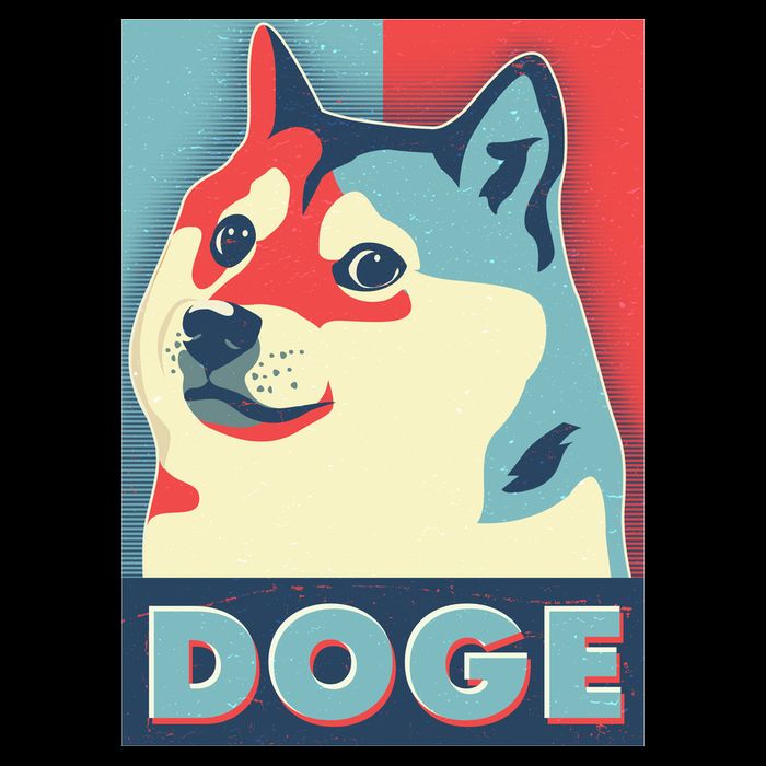 Funny Vintage Doge Meme Crypto Currency Kids Hoodie