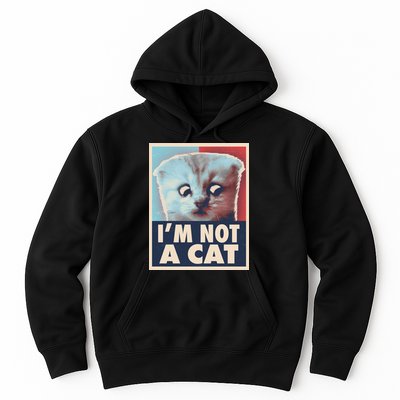 Funny Vintage I'm Not A Cat Zoom Lawyer Cat Meme Hoodie