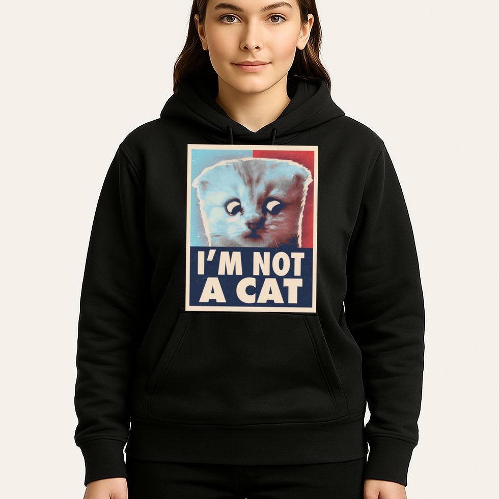 Funny Vintage I'm Not A Cat Zoom Lawyer Cat Meme Hoodie