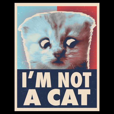 Funny Vintage I'm Not A Cat Zoom Lawyer Cat Meme T-Shirt