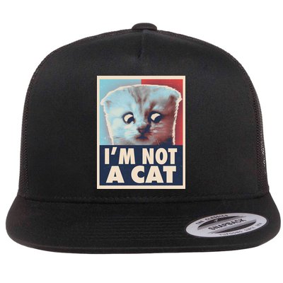 Funny Vintage I'm Not A Cat Zoom Lawyer Cat Meme Flatbill Hat