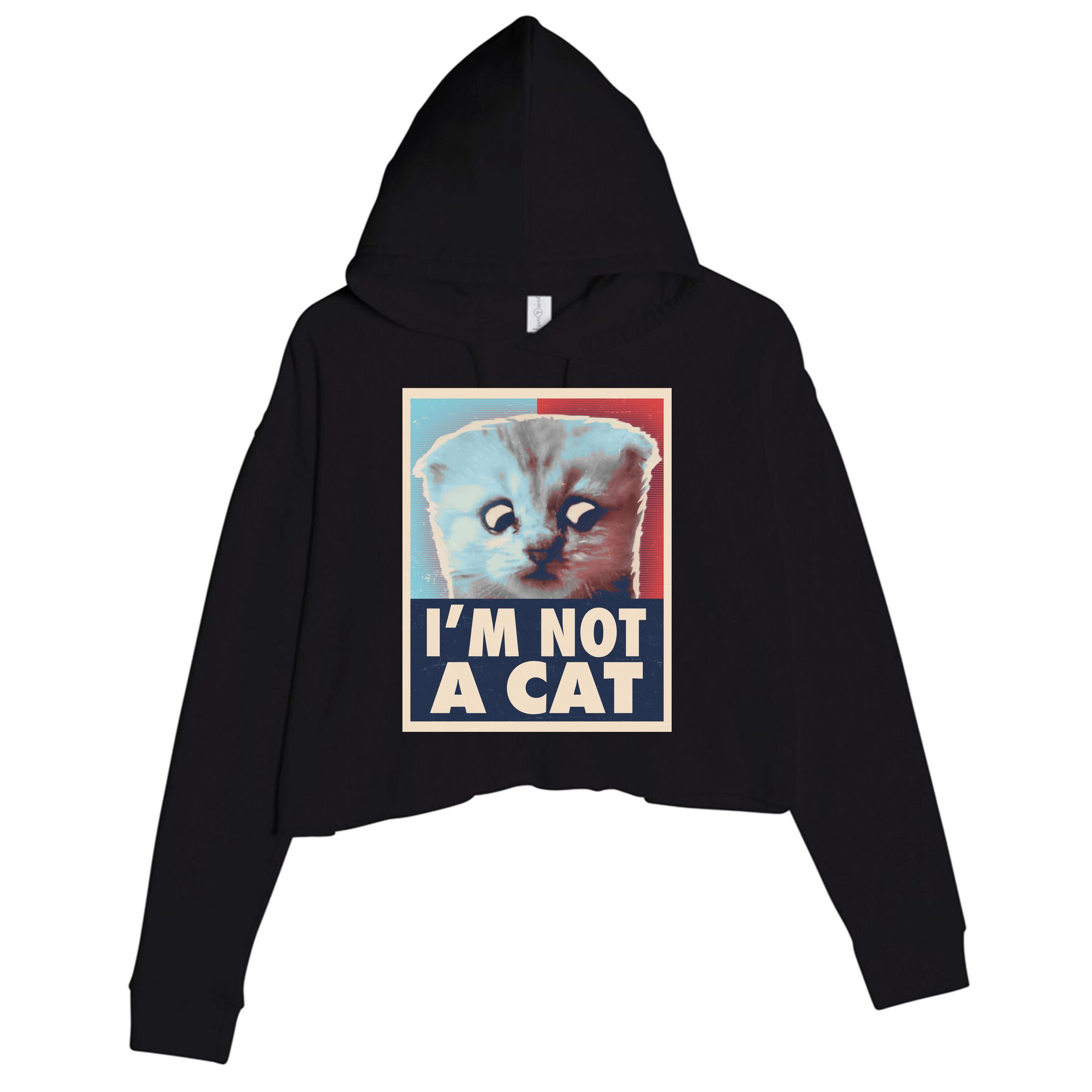 Funny Vintage I'm Not A Cat Zoom Lawyer Cat Meme Crop Fleece Hoodie