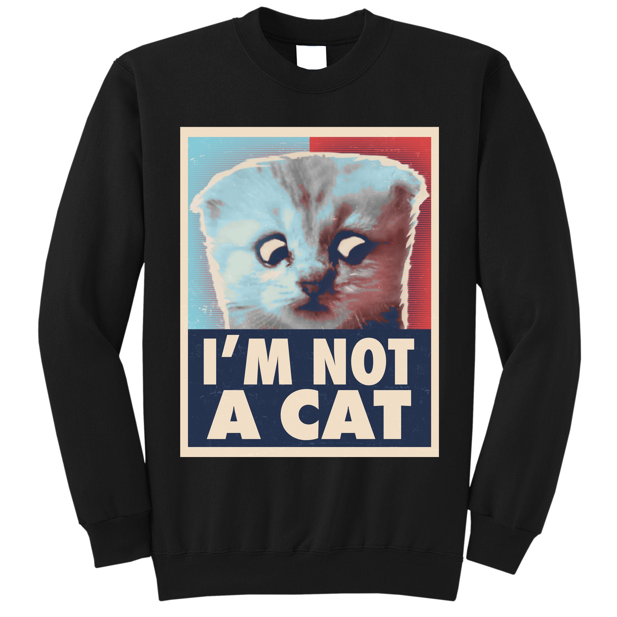 Funny Vintage I'm Not A Cat Zoom Lawyer Cat Meme Tall Sweatshirt