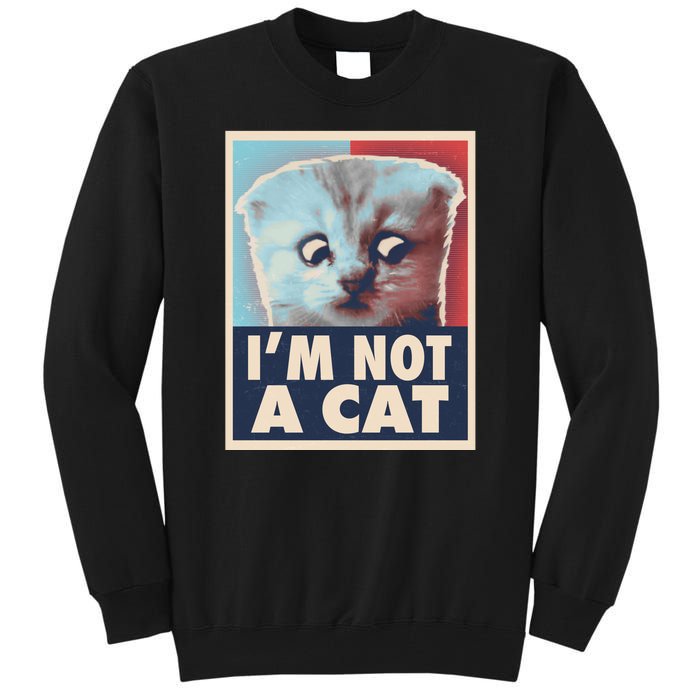 Funny Vintage I'm Not A Cat Zoom Lawyer Cat Meme Tall Sweatshirt