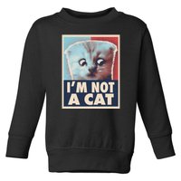 Funny Vintage I'm Not A Cat Zoom Lawyer Cat Meme Toddler Sweatshirt