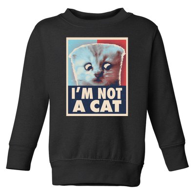 Funny Vintage I'm Not A Cat Zoom Lawyer Cat Meme Toddler Sweatshirt