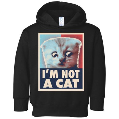 Funny Vintage I'm Not A Cat Zoom Lawyer Cat Meme Toddler Hoodie