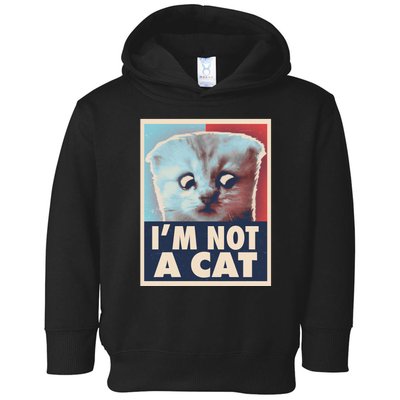 Funny Vintage I'm Not A Cat Zoom Lawyer Cat Meme Toddler Hoodie