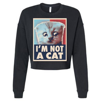 Funny Vintage I'm Not A Cat Zoom Lawyer Cat Meme Cropped Pullover Crew