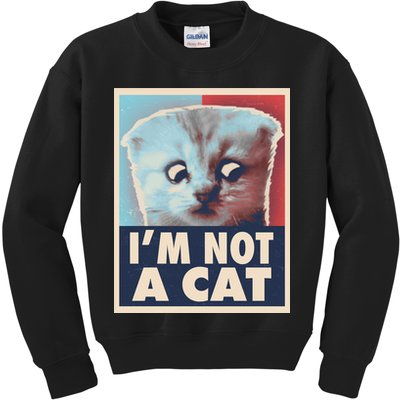 Funny Vintage I'm Not A Cat Zoom Lawyer Cat Meme Kids Sweatshirt