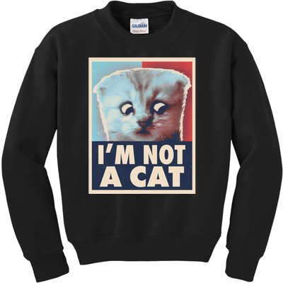 Funny Vintage I'm Not A Cat Zoom Lawyer Cat Meme Kids Sweatshirt