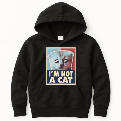 Funny Vintage I'm Not A Cat Zoom Lawyer Cat Meme Kids Hoodie