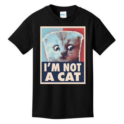 Funny Vintage I'm Not A Cat Zoom Lawyer Cat Meme Kids T-Shirt