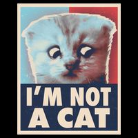 Funny Vintage I'm Not A Cat Zoom Lawyer Cat Meme Full Zip Hoodie