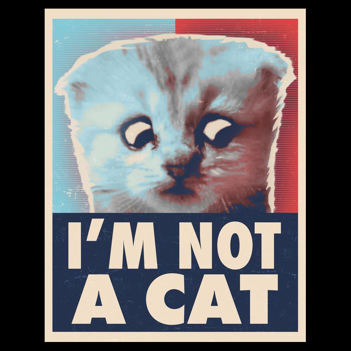 Funny Vintage I'm Not A Cat Zoom Lawyer Cat Meme Full Zip Hoodie