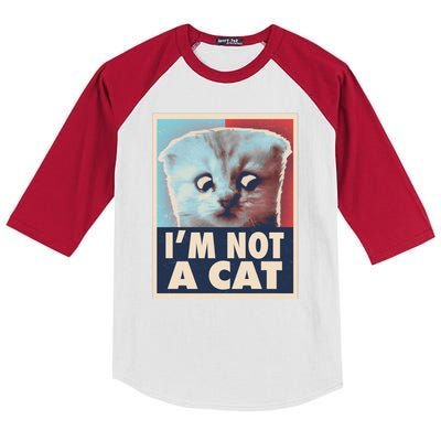 Funny Vintage I'm Not A Cat Zoom Lawyer Cat Meme Kids Colorblock Raglan Jersey