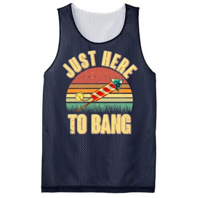 Funny Vintage Just Here To Bang July 4th Mesh Reversible Basketball Jersey Tank