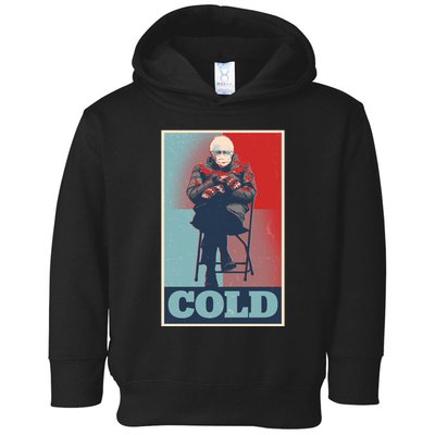 Funny Vintage Vote Cold Poster Bernie Sanders Mitten Meme Toddler Hoodie