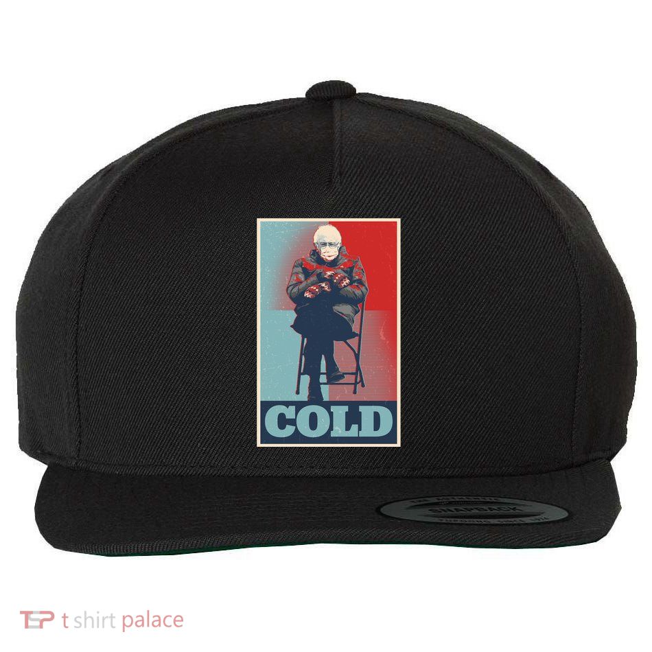 Funny Vintage Vote Cold Poster Bernie Sanders Mitten Meme Wool Snapback Cap