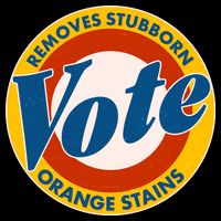 Funny VOTE Removes Stubborn Orange Stains Flexfit Unipanel Trucker Cap