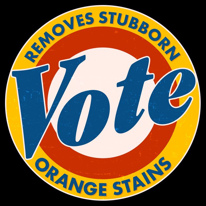 Funny VOTE Removes Stubborn Orange Stains Flexfit Unipanel Trucker Cap