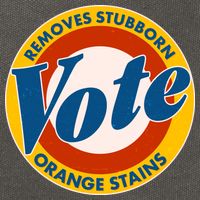 Funny VOTE Removes Stubborn Orange Stains Cotton Canvas Backpack