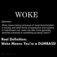 Funny Woke Real Definition Poster