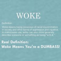 Funny Woke Real Definition Sueded Cloud Jersey T-Shirt