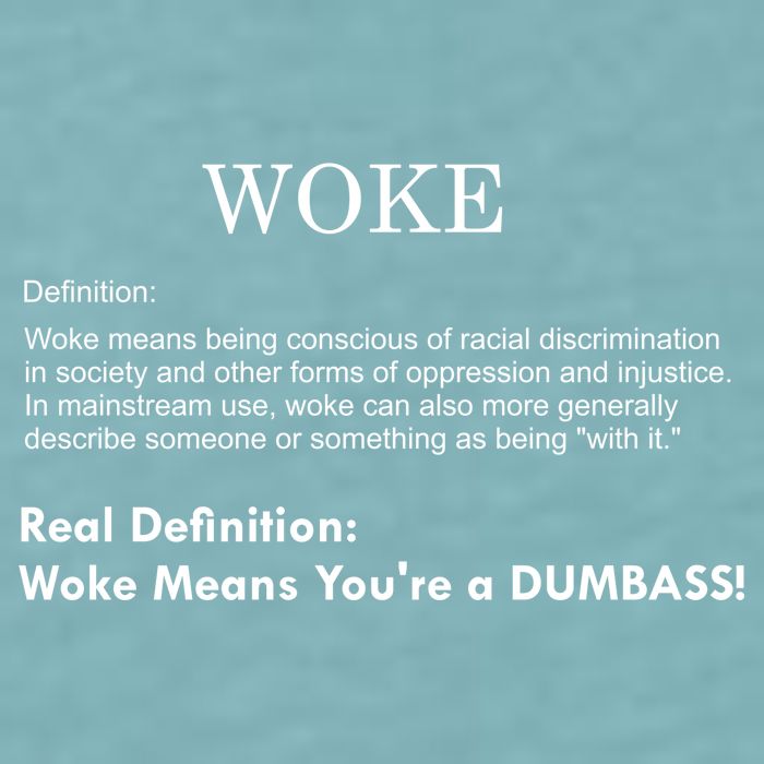 Funny Woke Real Definition Sueded Cloud Jersey T-Shirt