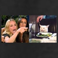 Funny Woman Yelling At Cat Meme  7 Panel Mesh Trucker Snapback Hat