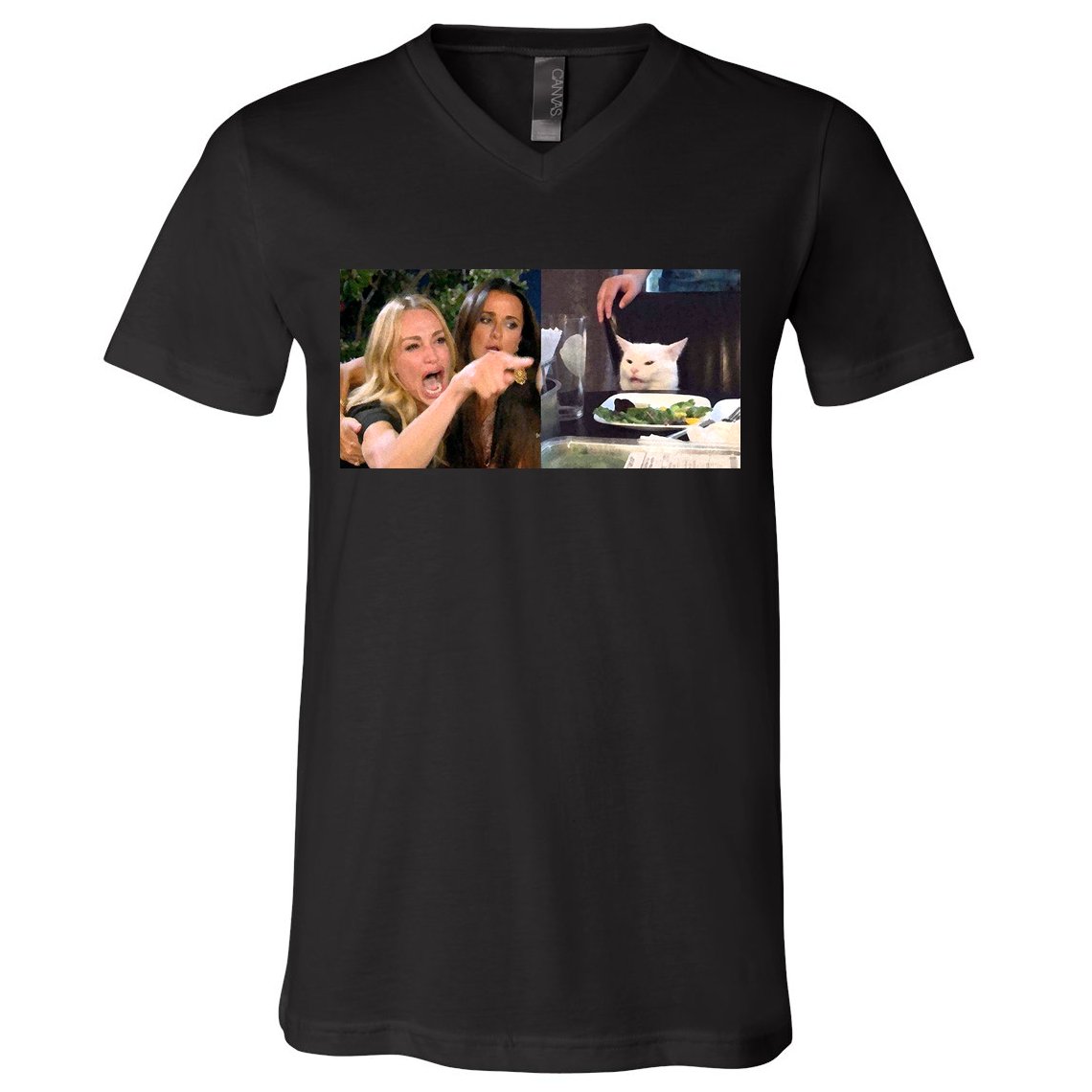 Funny Woman Yelling At Cat Meme  V-Neck T-Shirt