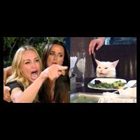Funny Woman Yelling At Cat Meme  Baby Bodysuit