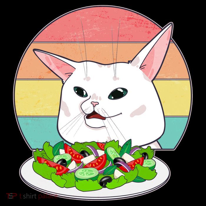 Funny Woman Yelling at Table Cat Meme Apron