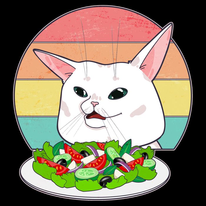 Funny Woman Yelling at Table Cat Meme T-Shirt