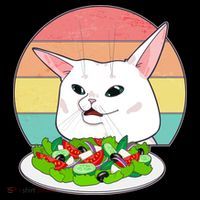 Funny Woman Yelling at Table Cat Meme Magnet
