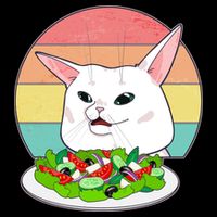 Funny Woman Yelling at Table Cat Meme Cropped Pullover Crew