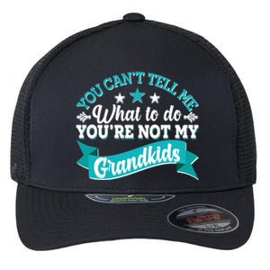 Funny You Can't Tell Me What to do You're Not My Grandkids Flexfit Unipanel Trucker Cap