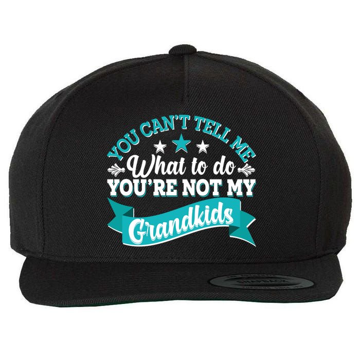 Funny You Can't Tell Me What to do You're Not My Grandkids Wool Snapback Cap
