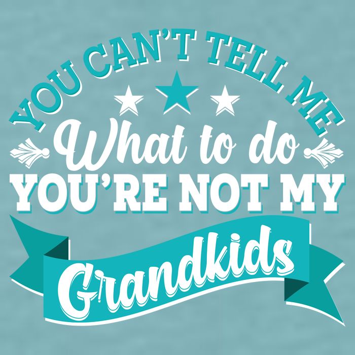 Funny You Can't Tell Me What to do You're Not My Grandkids Sueded Cloud Jersey T-Shirt