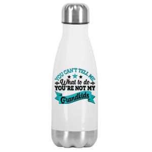 Funny You Can't Tell Me What to do You're Not My Grandkids Stainless Steel Insulated Water Bottle