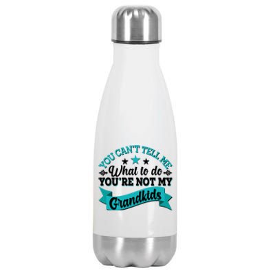 Funny You Can't Tell Me What to do You're Not My Grandkids Stainless Steel Insulated Water Bottle