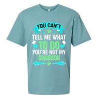 Funny You Can't Tell Me What to do You're Not My Grandson Sueded Cloud Jersey T-Shirt